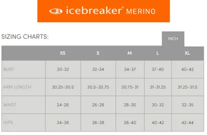 Icebreaker Wmns 260 Zone LS Crewe